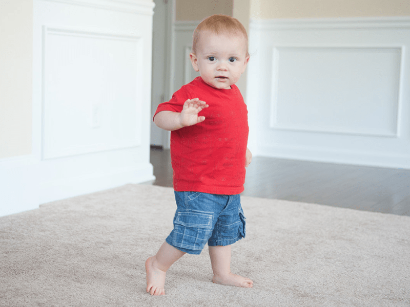 1 Year (12-15&nbsp;Months)