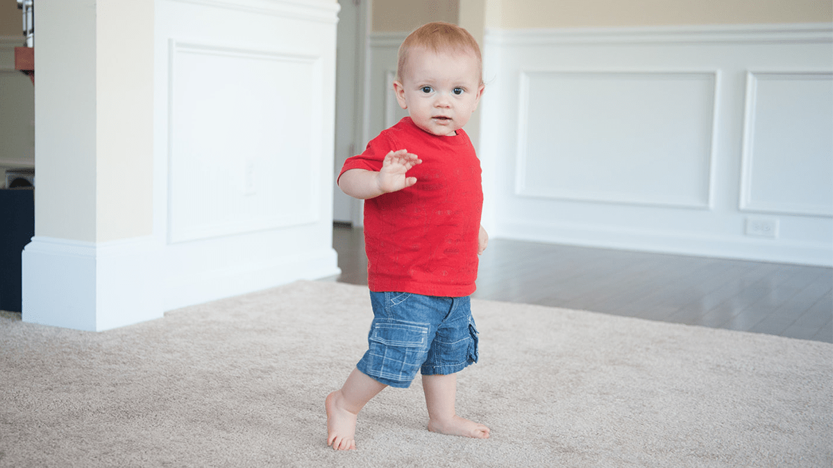 1 Year (12-15&nbsp;Months)